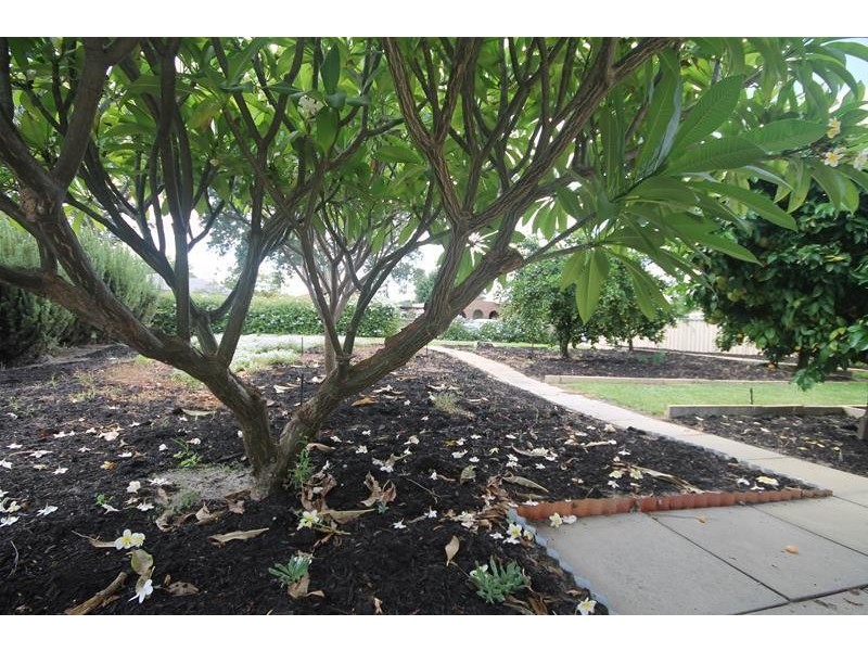 170 Third Avenue, Kelmscott WA 6111