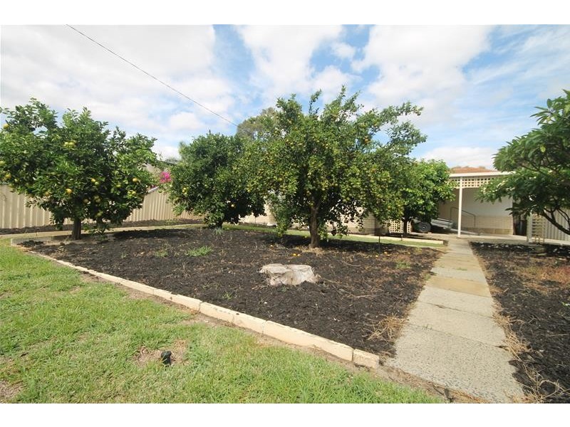 170 Third Avenue, Kelmscott WA 6111