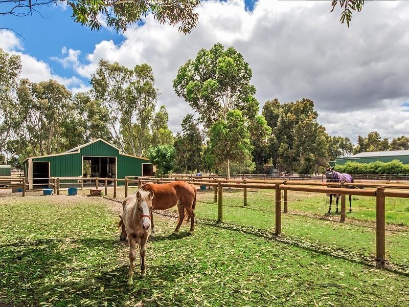 27 Tiara Court, Darling Downs WA 6122