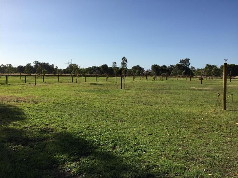 62 Northerly Lane, Oakford WA 6121