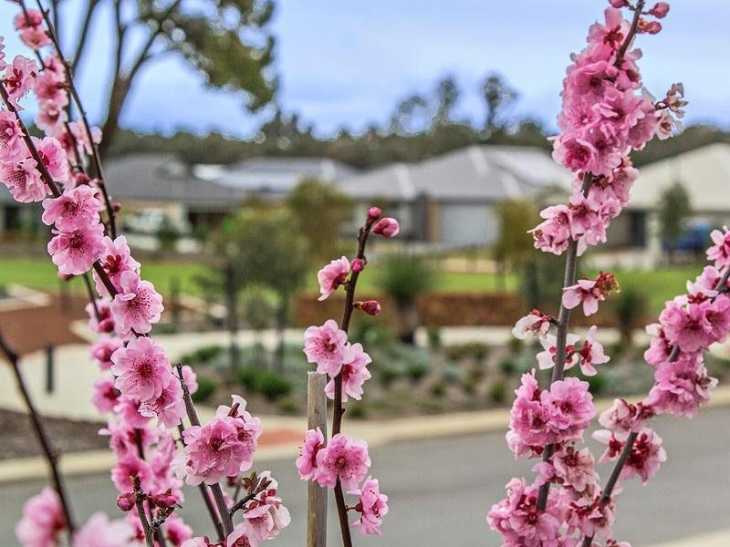 47 Peavey Road, Whitby WA 6123