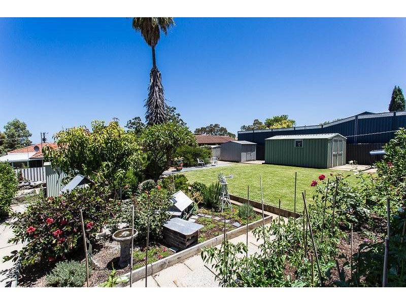 36 Lensham Place, Armadale WA 6112