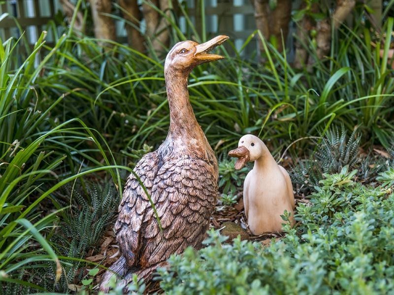 16 Alola Street, Kelmscott WA 6111