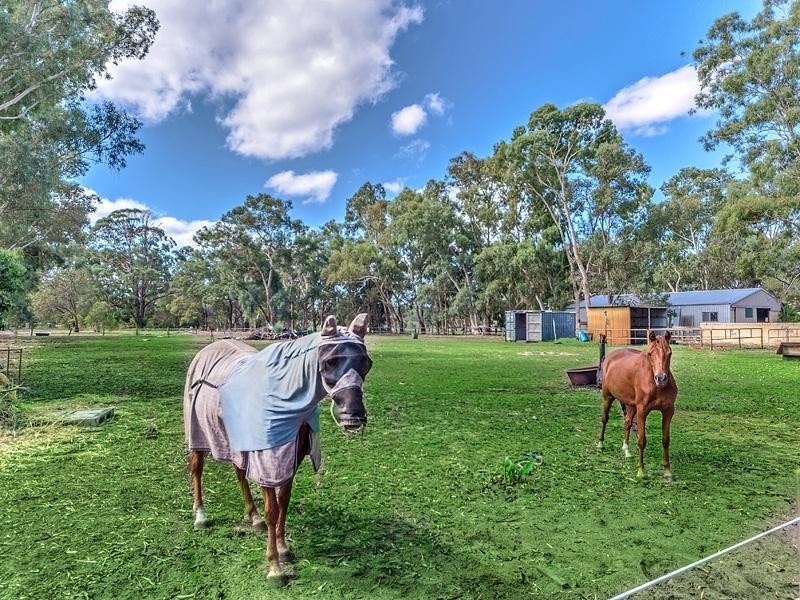 65 Peters Way, Oakford WA 6121