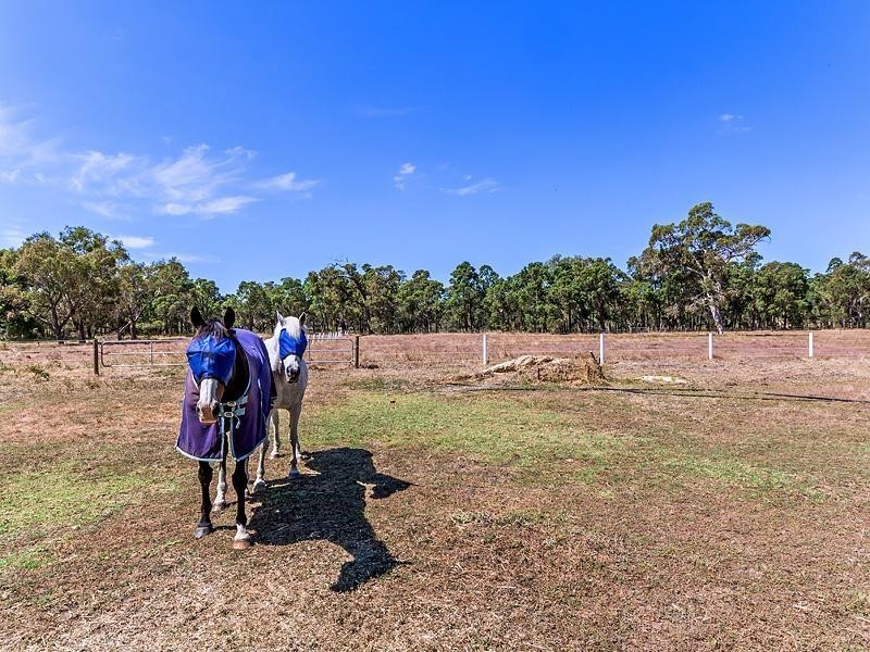 30 Walton Street, Keysbrook WA 6126