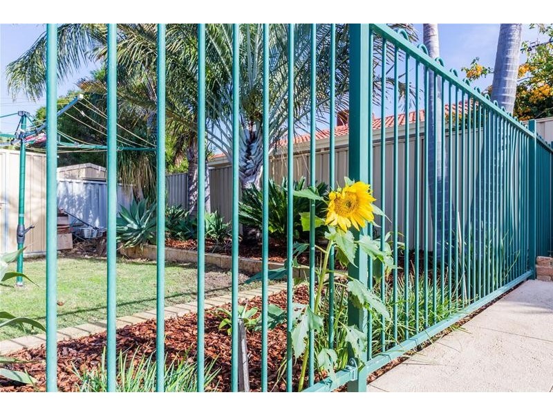 1 Ralphs Street, Seville Grove WA 6112