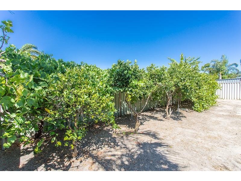20 Moondyne Court, Seville Grove WA 6112