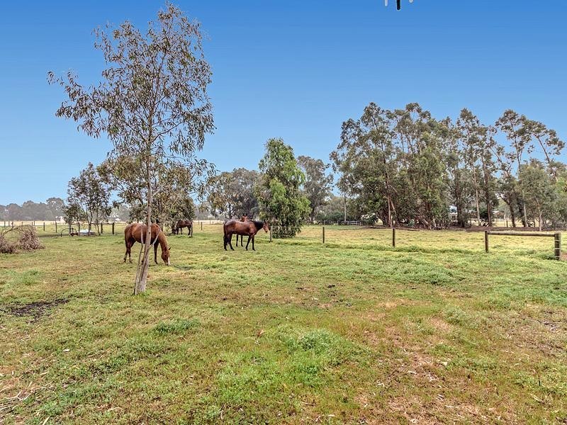 97 Lefroy Street, Serpentine WA 6125