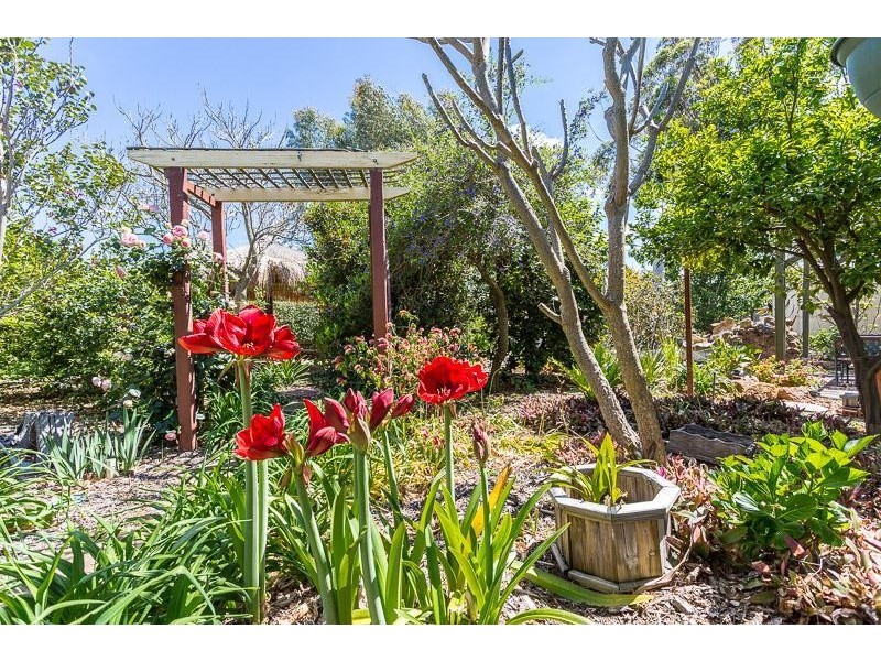 14 Elsie Street, Gosnells WA 6110