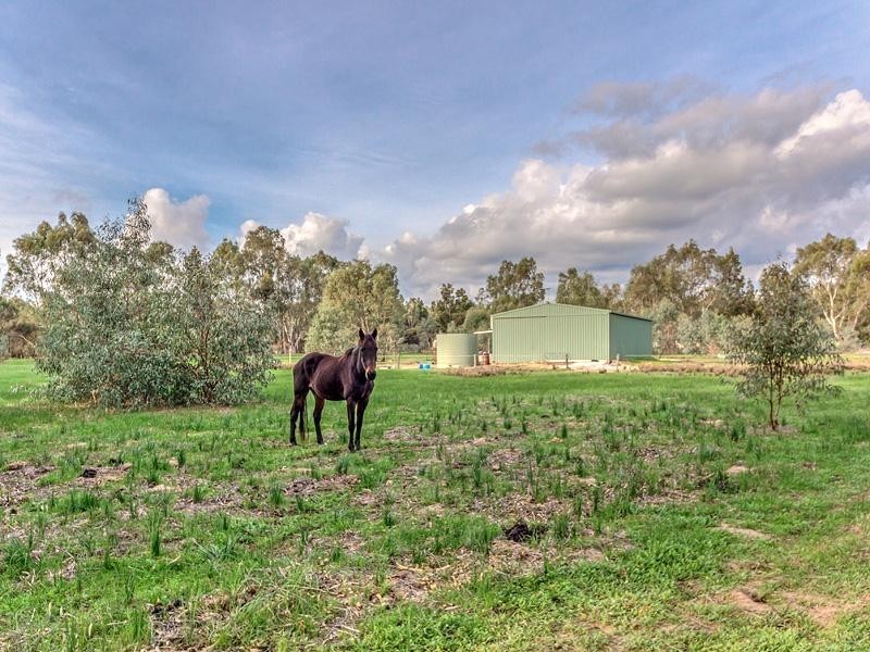 15 Angus Close, Oakford WA 6121