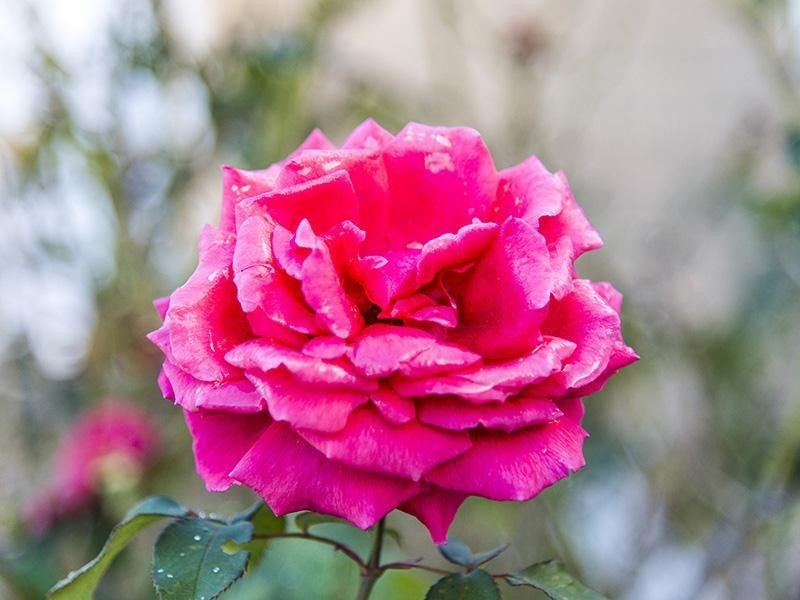 45 Galliers Avenue, Armadale WA 6112