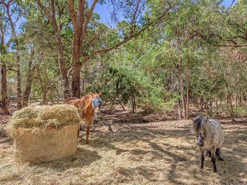 9 Summerfield Road, Serpentine WA 6125
