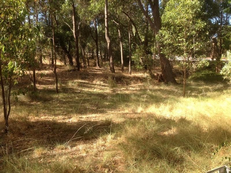 9 Summerfield Road, Serpentine WA 6125