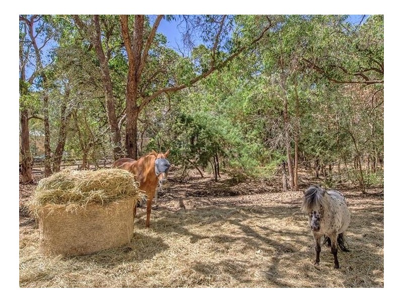 9 Summerfield Road, Serpentine WA 6125