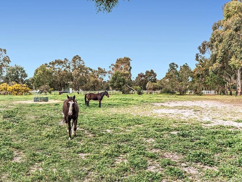 141 Salmon Bark Road, Serpentine WA 6125