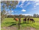 69 Punrak Road, Serpentine WA 6125