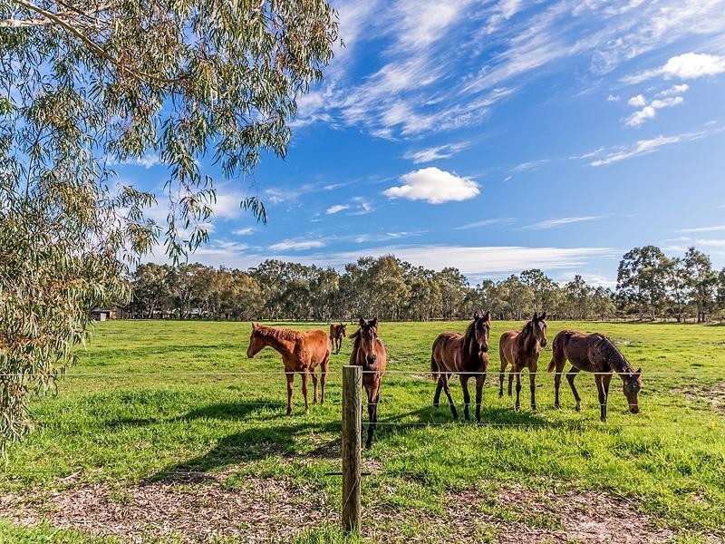 69 Punrak Road, Serpentine WA 6125