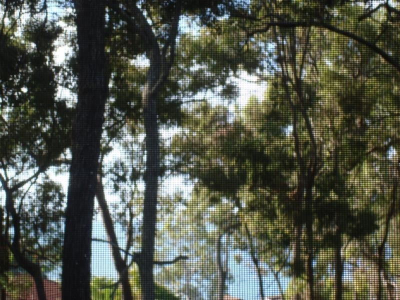 7 Ray Street, Macleay Island QLD 4184