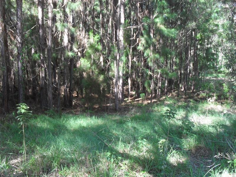 42 Alexander Street, Macleay Island QLD 4184