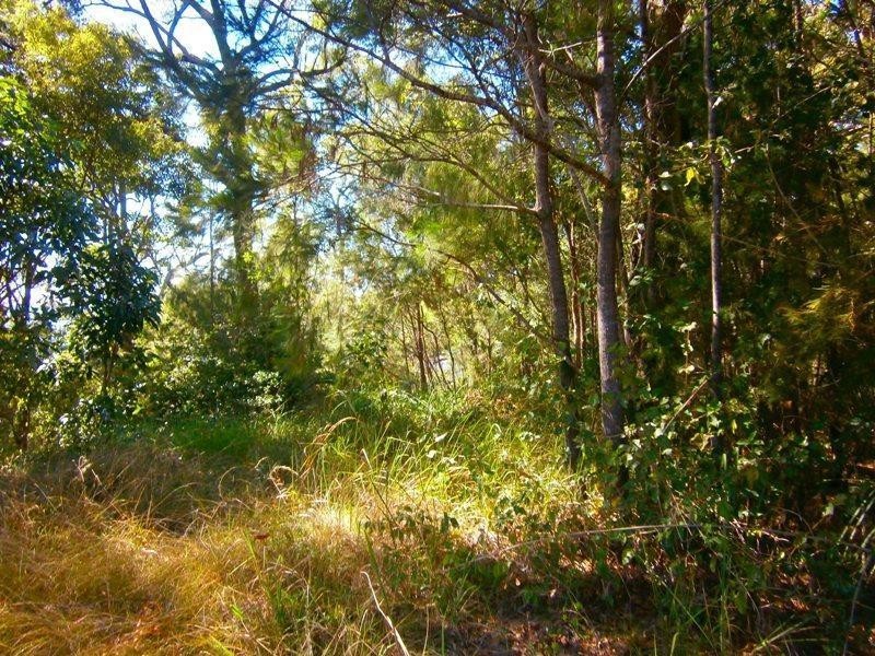 6 Pandora Court, Macleay Island QLD 4184