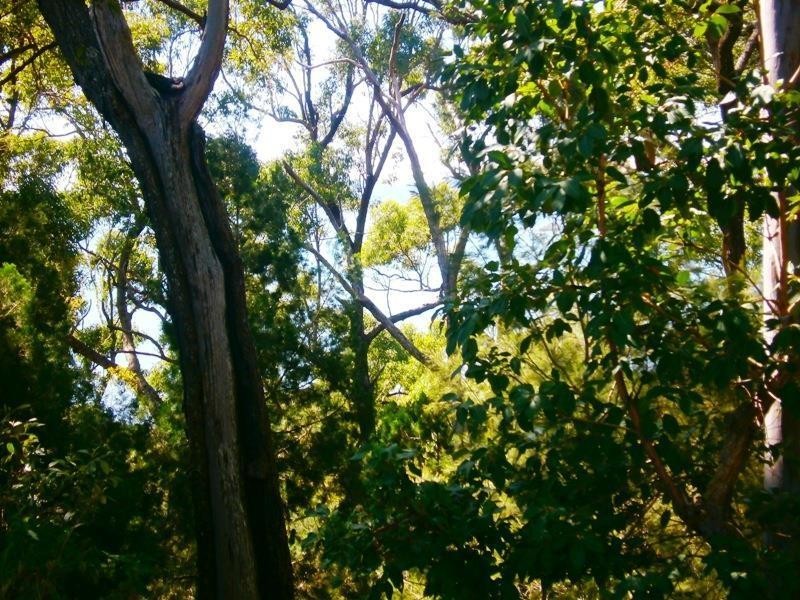 6 Pandora Court, Macleay Island QLD 4184