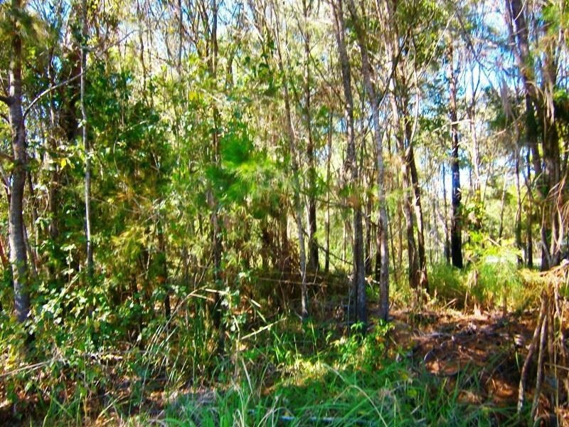 6 Pandora Court, Macleay Island QLD 4184