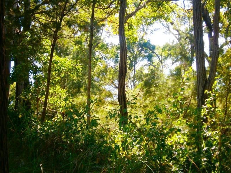 6 Pandora Court, Macleay Island QLD 4184