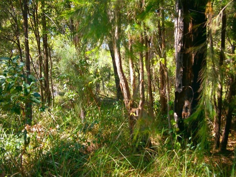 6 Pandora Court, Macleay Island QLD 4184