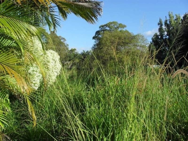 4 Lake Street, Macleay Island QLD 4184