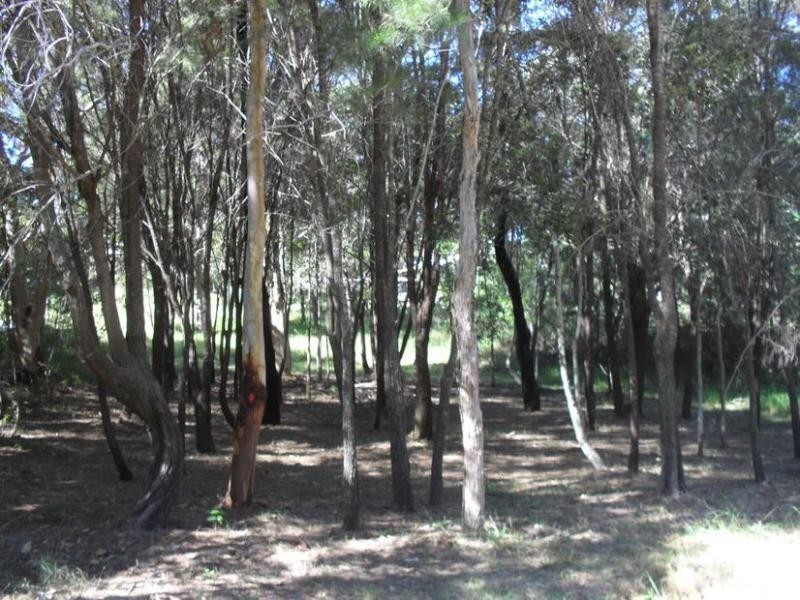 86 High Central Road, Macleay Island QLD 4184