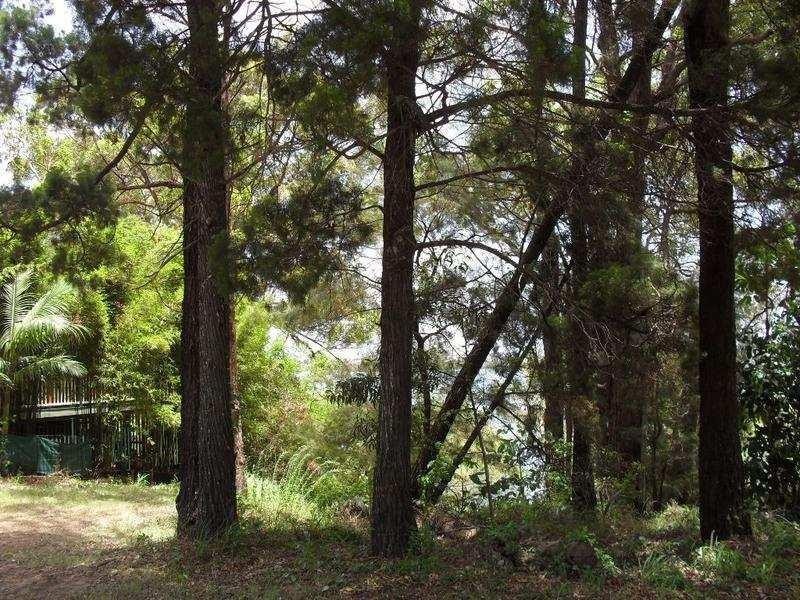 33 Coast Road, Macleay Island QLD 4184