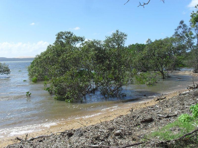 36 Koonwarra Parade, Macleay Island QLD 4184