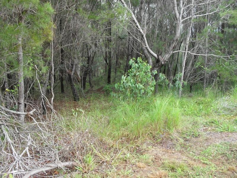 14 Matthew Street, Macleay Island QLD 4184