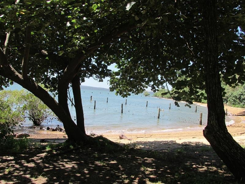 141 Kate Street, Macleay Island QLD 4184
