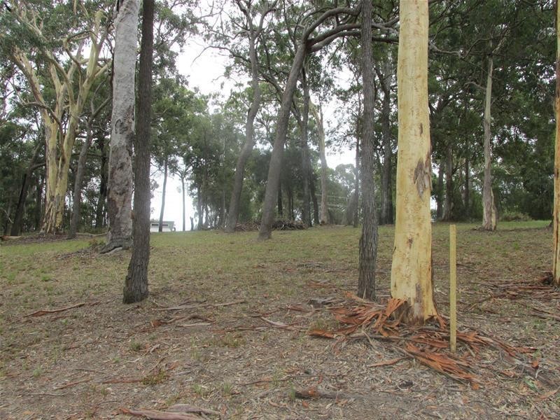 62 Beelong Street, Macleay Island QLD 4184