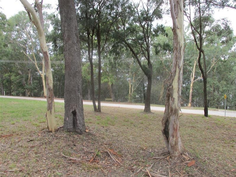 62 Beelong Street, Macleay Island QLD 4184