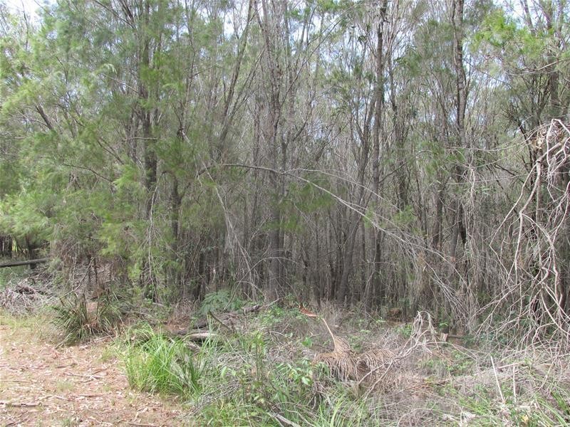 28 Ashton Street, Macleay Island QLD 4184