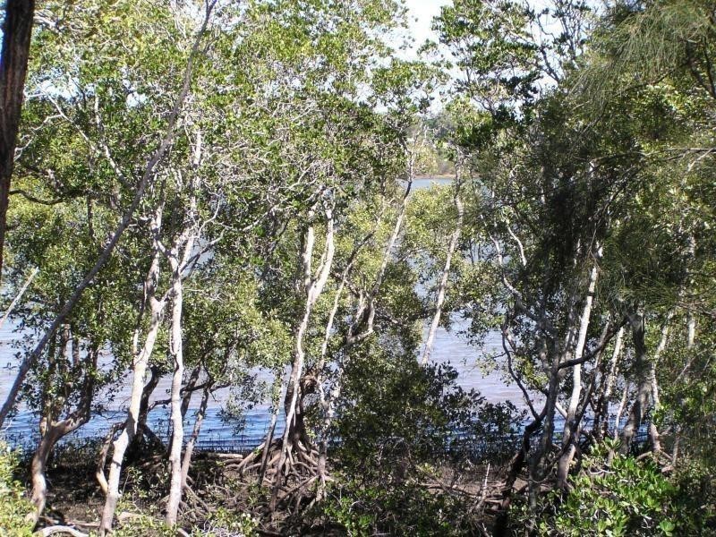 40 Calm Waters Crescent, Macleay Island QLD 4184