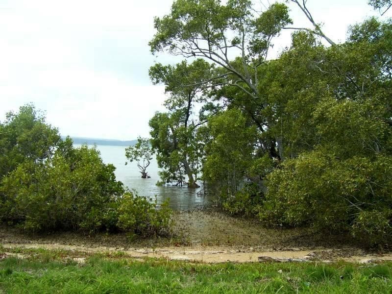 63 Beelong Street, Macleay Island QLD 4184