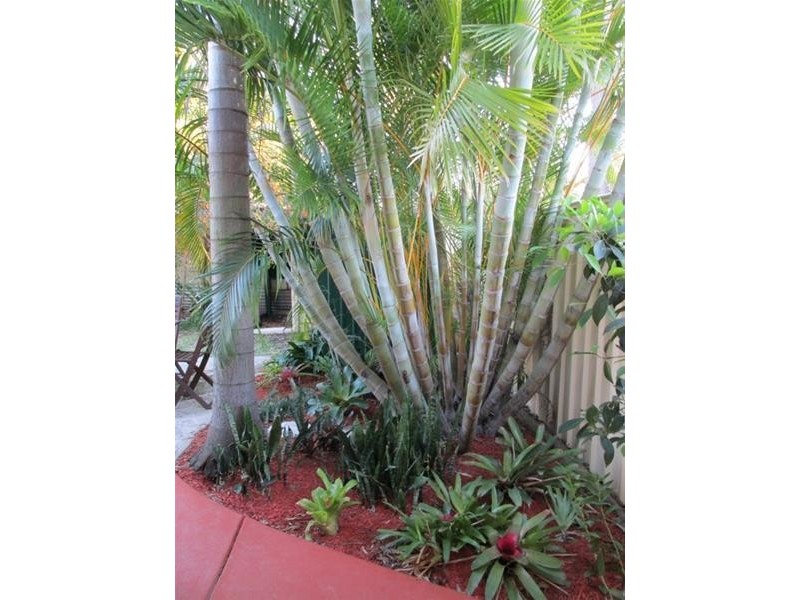 12 Orana Street, Macleay Island QLD 4184