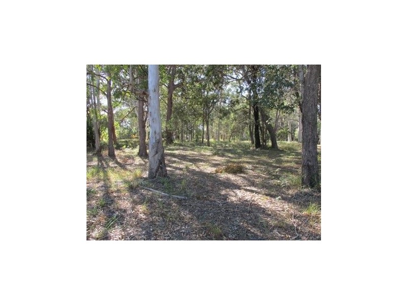 16 Piccaninny Street, Macleay Island QLD 4184