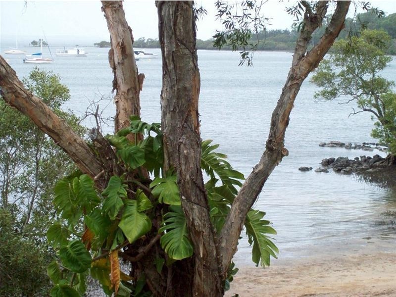 52 Attunga Street, Macleay Island QLD 4184