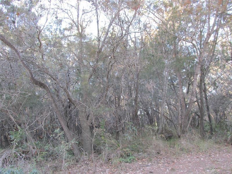 17 Cathy Street, Macleay Island QLD 4184