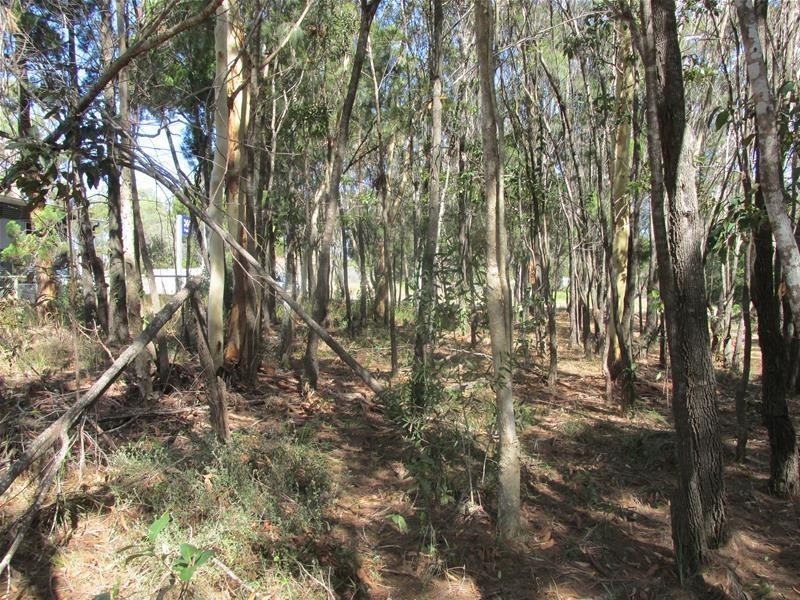 9 Pelican Street, Macleay Island QLD 4184