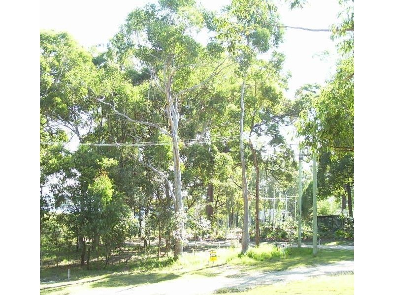 16 Brolga Street, Macleay Island QLD 4184