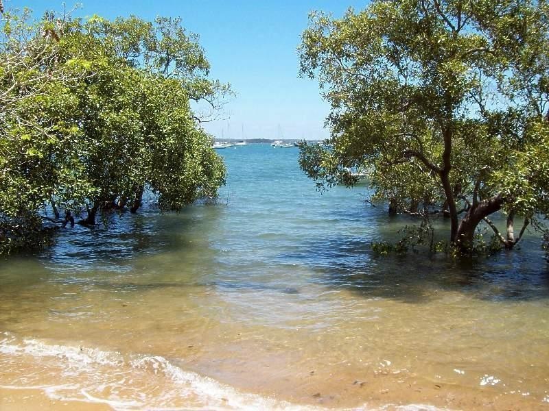 21 Coondooroopa Drive, Macleay Island QLD 4184