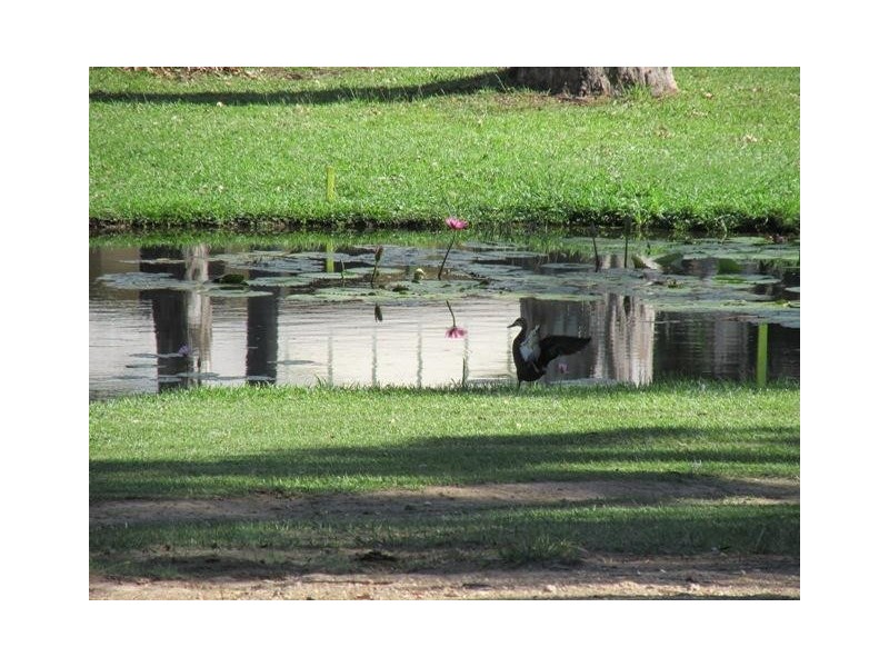 8 Timothy Street, Macleay Island QLD 4184