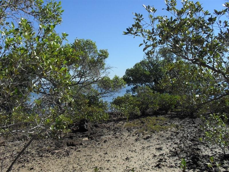 55 Attunga Street, Macleay Island QLD 4184