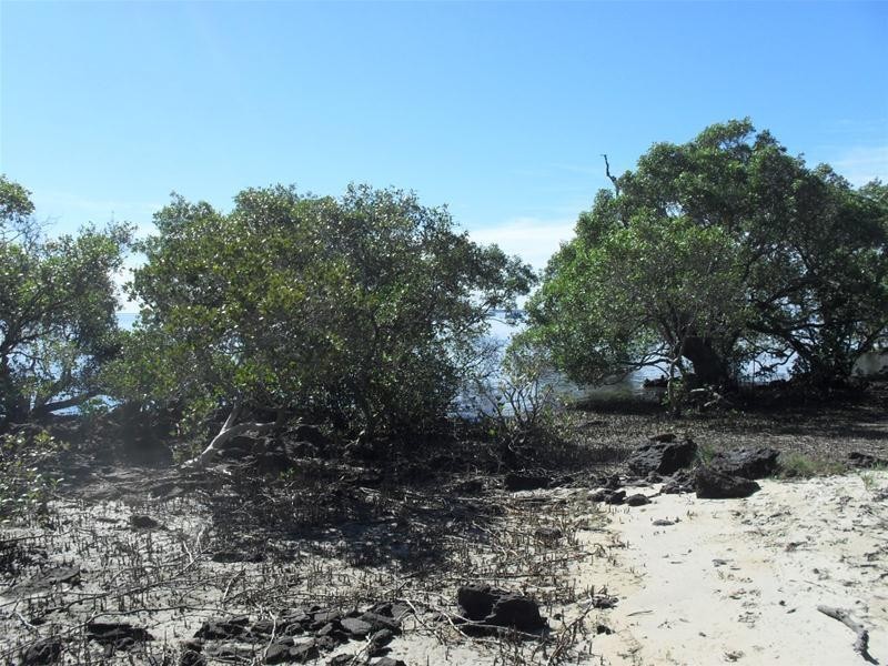 55 Attunga Street, Macleay Island QLD 4184