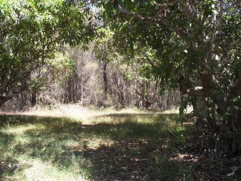 3 Quail Place, Macleay Island QLD 4184